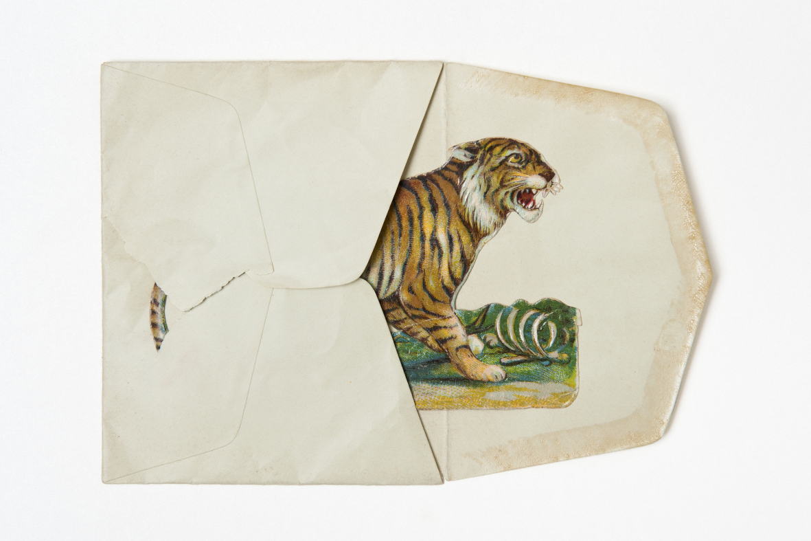 Was bleibt in den Archiven - Ein alter Briefumschlag mit einem Papier, auf dem ein Tiger zu sehen ist